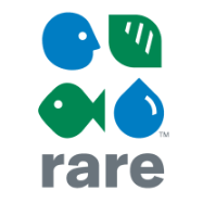Rare Brasil Logo