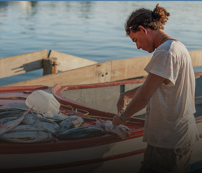 Fishing Industry Data | Barefoot Ocean
